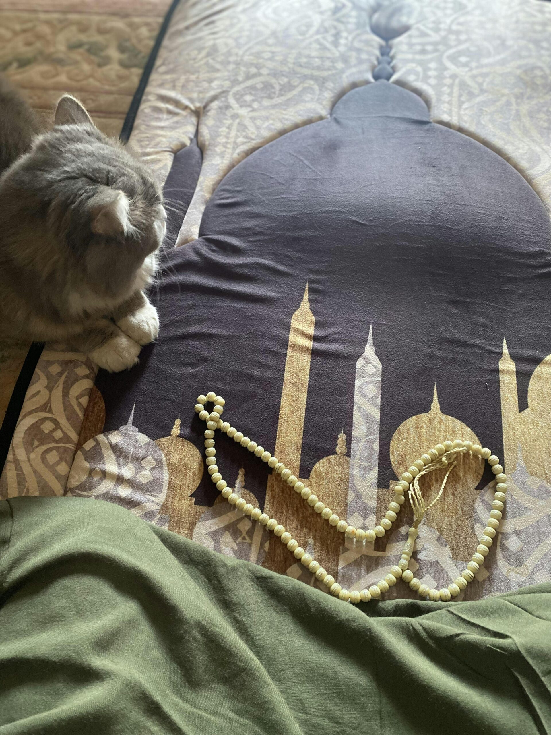 مصلية مبطنة مانعة للانزلاق كبيرة - الصورة 5