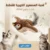 عصفور طائر للقطط والحيوانات الأليفة